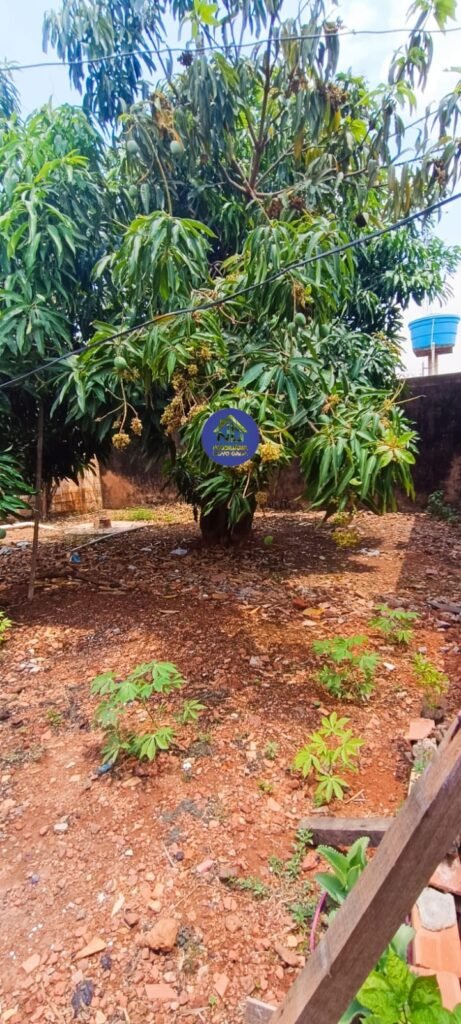 4a4e78db-9876-4f6f-8ed7-da202854d00f